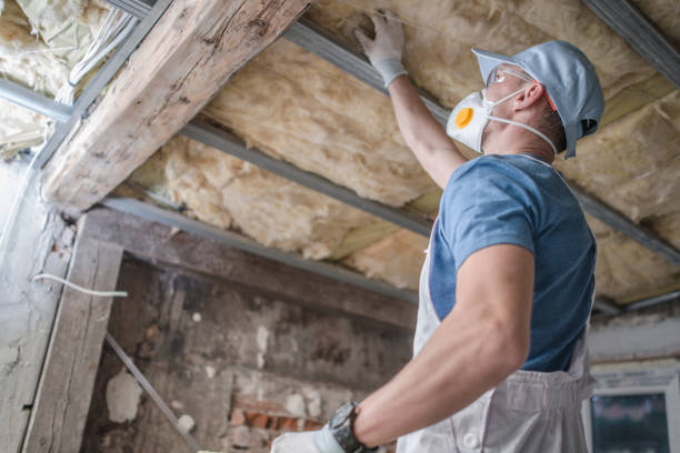 Best Types of Insulation in Trenton, MI